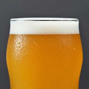 Lord Hobo 617 Hazy IPA