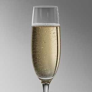 Champagne Brut France