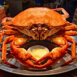 Whole Dungeness Crab