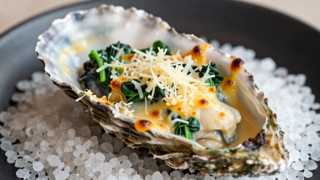 Half Baked Oysters