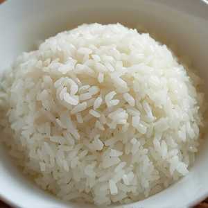 Jasmine Rice