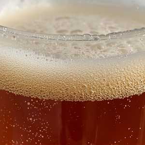 LAGUNITAS IPA
