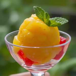 Sorbet