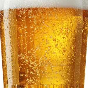 House Lager Twenty Five
