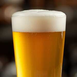 Lagunitas IPA