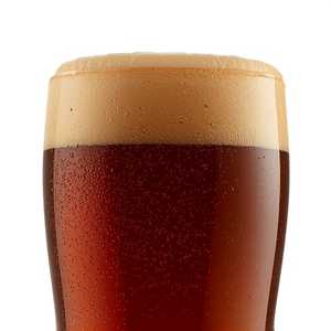 Belgian Dubbel