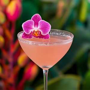 Lychee Martini & Lavender Berry Cocktail