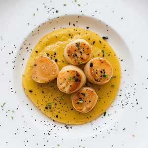 Bay Scallops