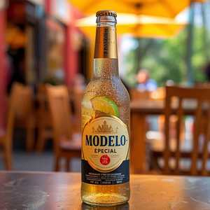 Modelo
