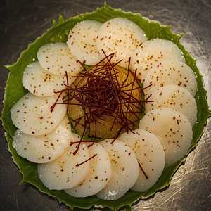 Hotate Crudo