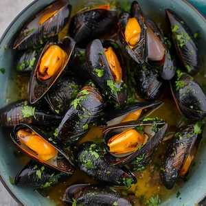 New Zealand Mussels