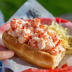 MAINE LOBSTER ROLL w/ COLE SLAW
