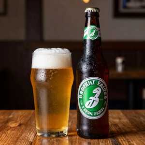 Brooklyn Lager