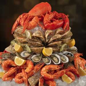 Cold Shellfish Platters