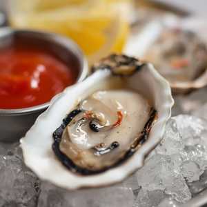 Oysters