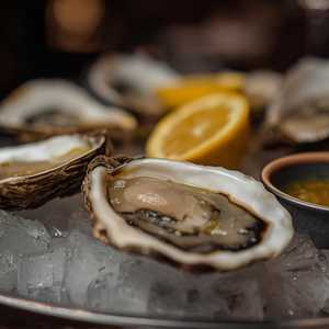 Freshly Shucked Select Oysters