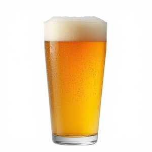 Dogfish Head 60 Minute IPA