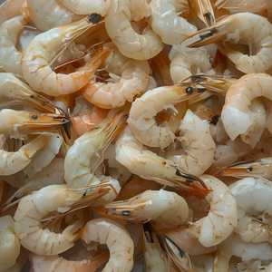 Shrimp