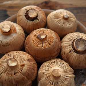 Shiitake Mushroom