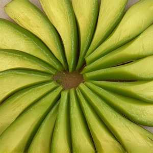 Sliced Avocado