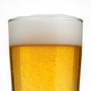 Busch Light