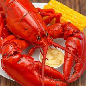 Steamed Hard-Shell Lobster (3 lb)