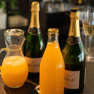MIMOSA