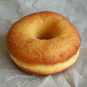 Plain Doughnut