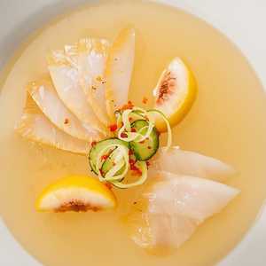 Crudo