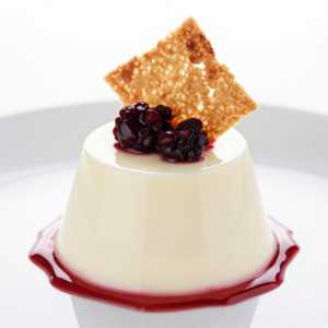 Panna Cotta