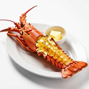 Lobster Tail