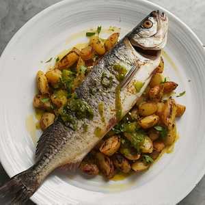 Whole Rockport Mackerel