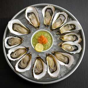 Oysters