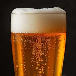 Seasonal Draft Beer (16 oz)