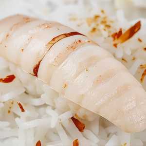 Squid
