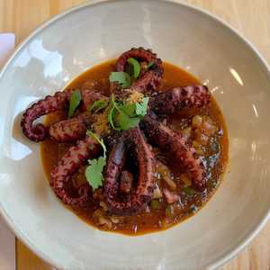 Octopus