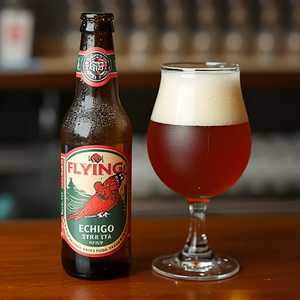 Flying Ipa Echigo