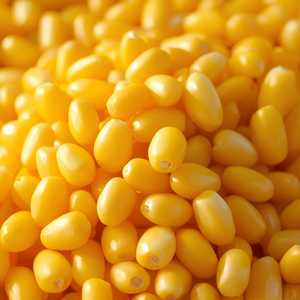 Sweet Corn