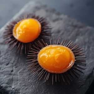 Uni Nigiri