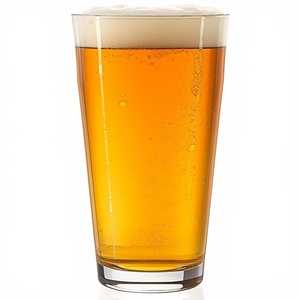 Lagunitas IPA