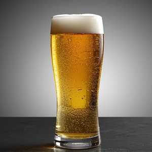 Bay City Brewing Co. Fiesta Island