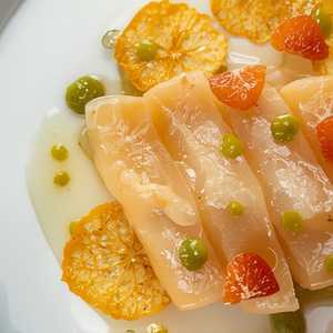 FLUKE CEVICHE