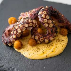 Octopus