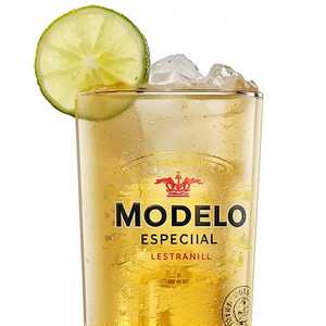 Modelo Especial