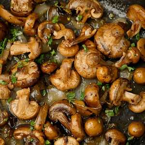 WILD MUSHROOMS