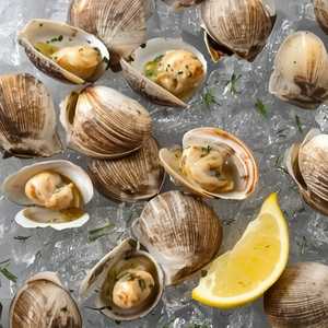 Little Neck Clams