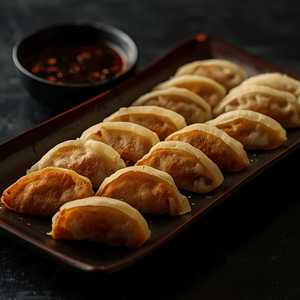 Pan Fried Gyoza Dumplings