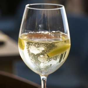 Vermentino, Famiglia Castellani 2022 (Toscana)