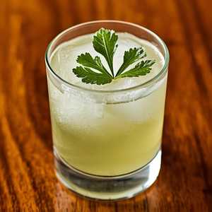 Cilantro Volta