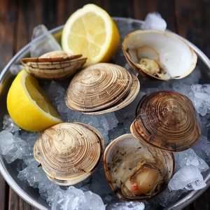 Littleneck Clams
